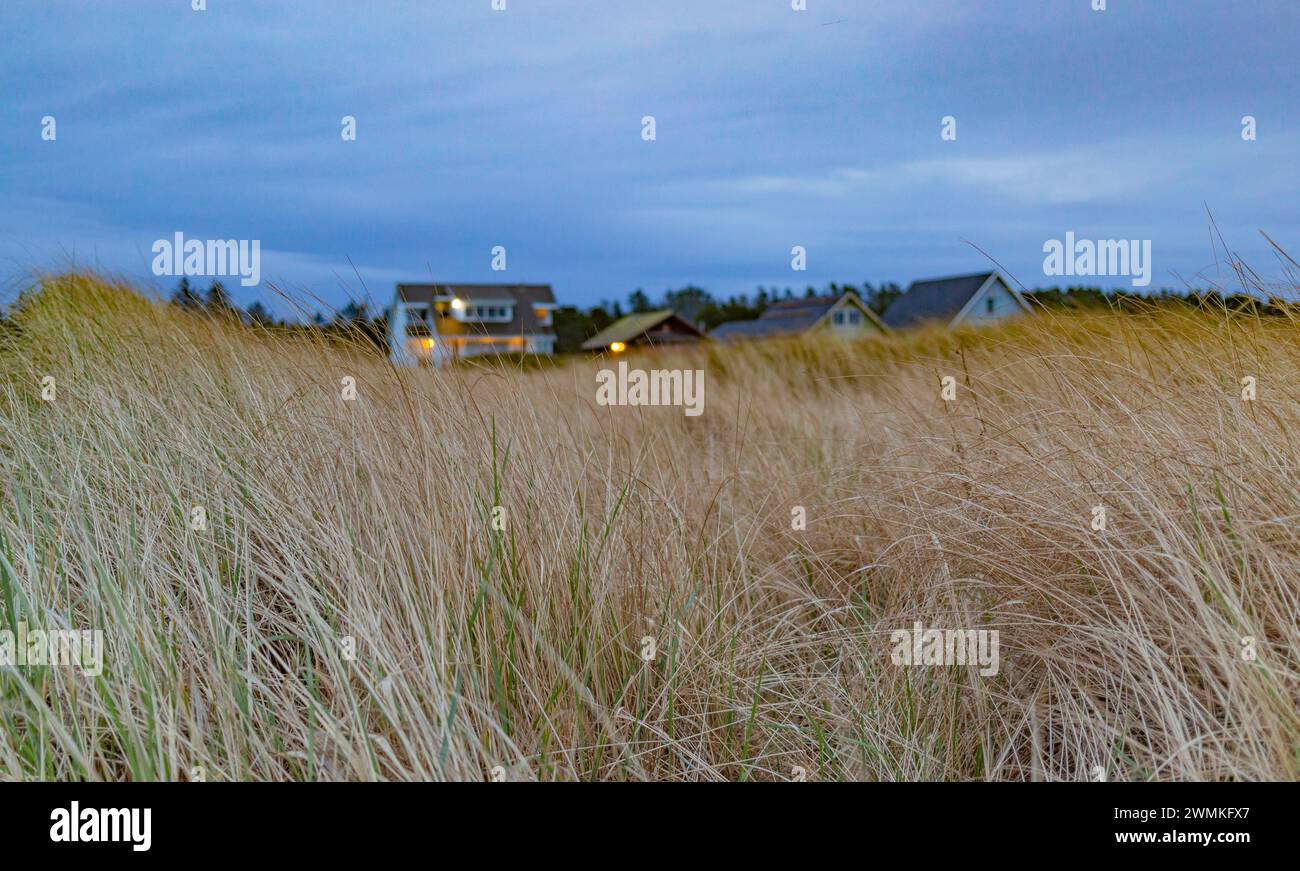 View through the beach grass of houses lit-up against a grey, cloudy sky; Long Beach, Washington, United States of America Stock Photo