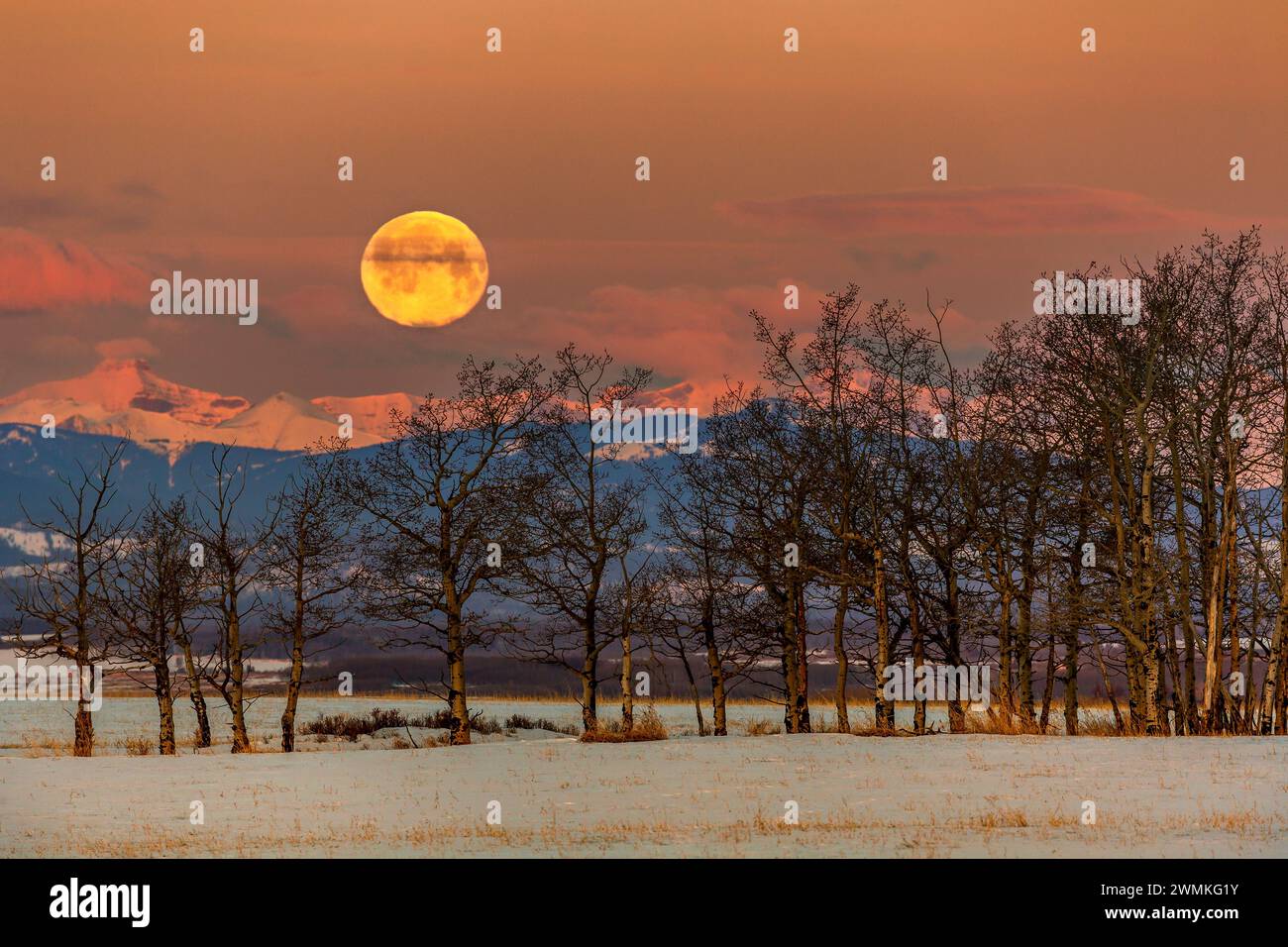 Snow covered mountain range reflecting warm light at sun rise with pink clouds and a warm glowing full moon over a snow covered field with a row of... Stock Photo