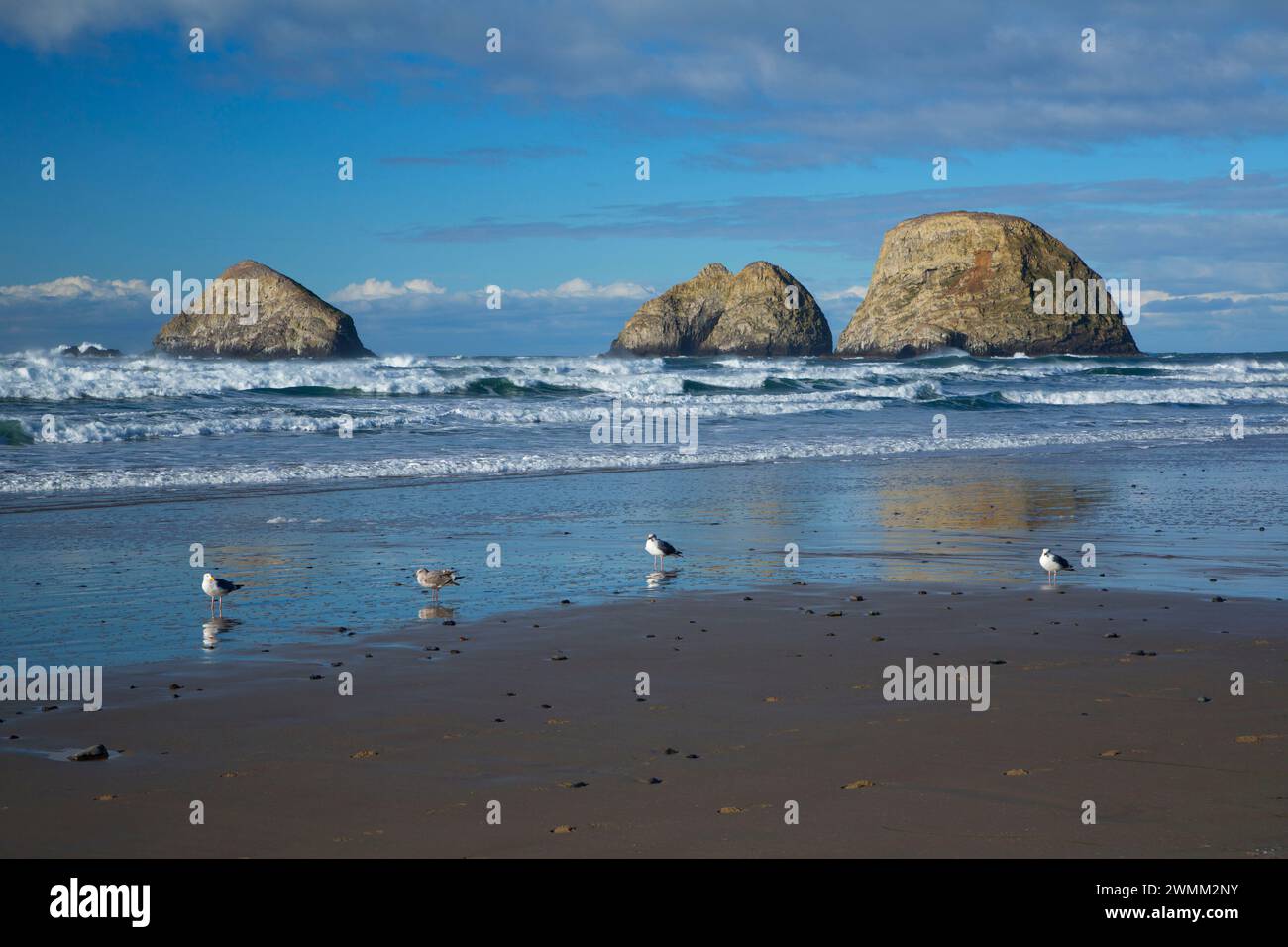 Three Arch Rocks from beach, Oceanside State Park, Oregon Stock Photo ...