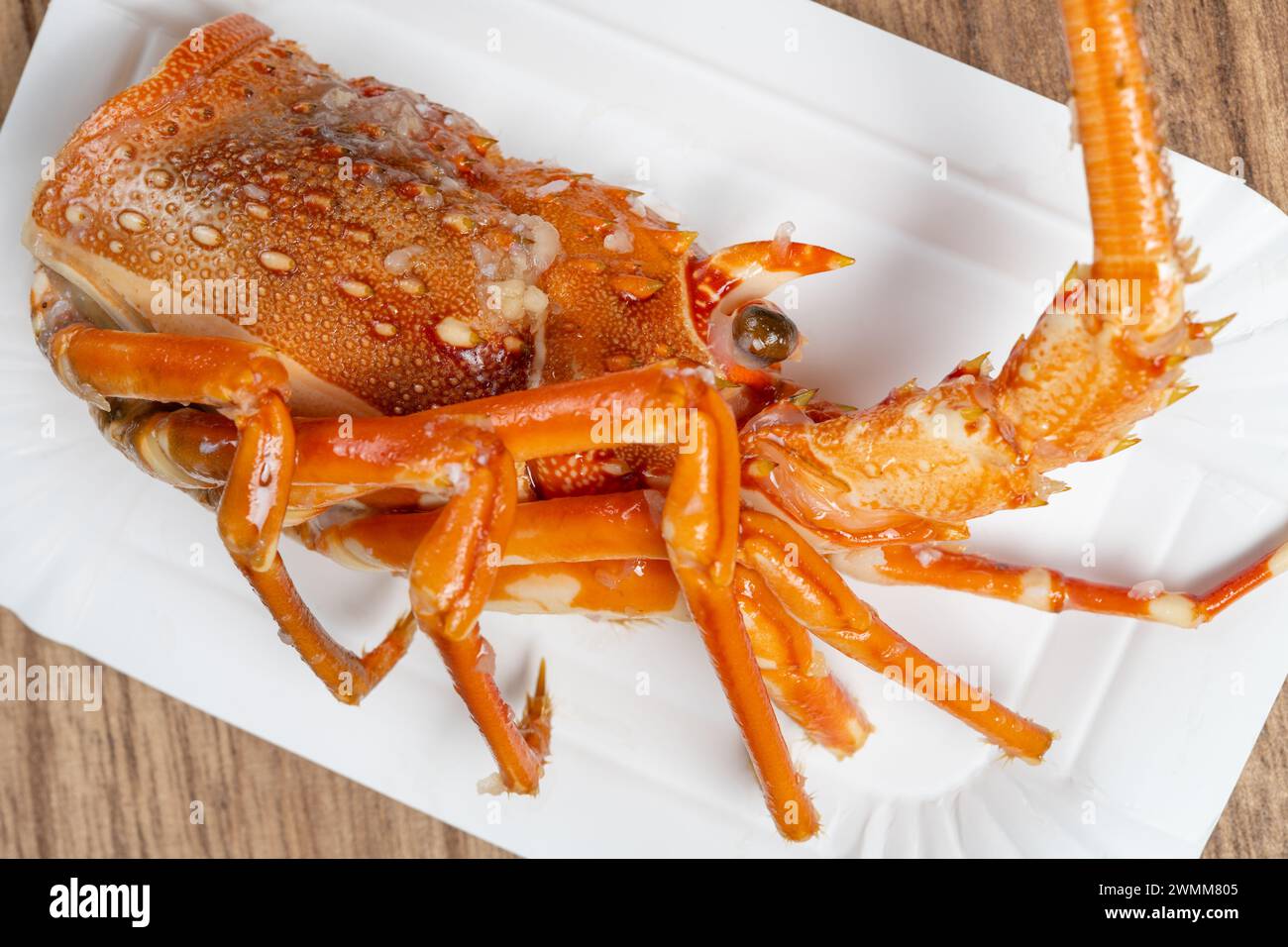Lobster Shell Features The the lobsters head hi-res stock photography and images - Alamy