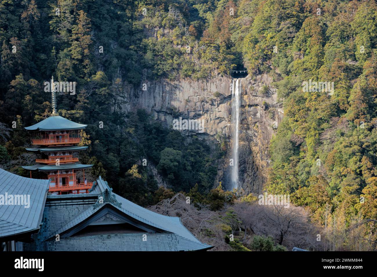 Seiganto-ji  Sanjuno-to pagoda and Nachi Falls, Nachisan, Wakayama, Japan Stock Photo