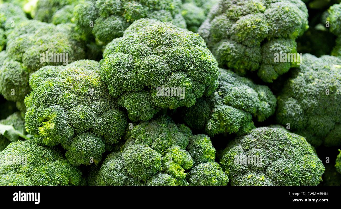 Full frame fresh broccoli sprouts for background Stock Photo