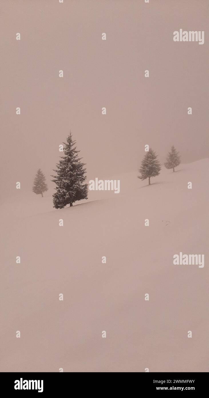 Ex. of whiteout, white-out or milky weather, a weather condition where the contours + landmarks in a snow-covered zone become almost indistinguishable Stock Photo