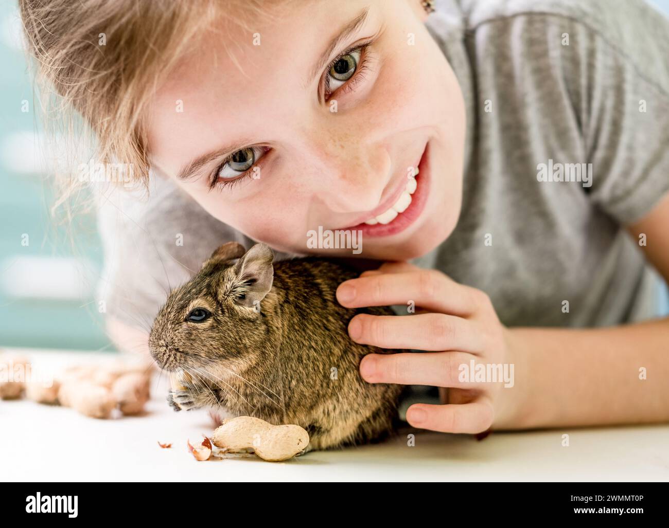 Portrait of young girl with degu squirrel and nuts, close-up. Stock Photo