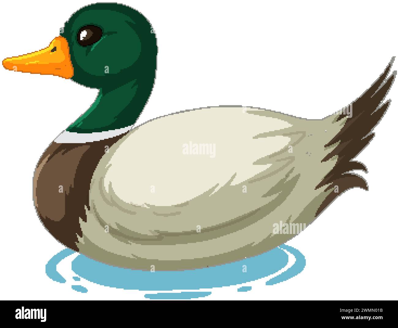 Vector graphic of a duck floating on water Stock Vector Image & Art - Alamy