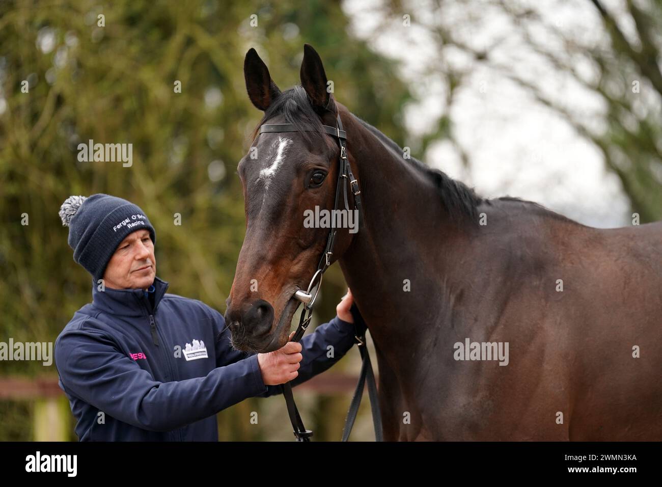 A stablehand with Dysart Enos during a visit to Fergal O'Brien's yard at Ravenswell Farm, Withington. Picture date: Tuesday February 27, 2024. Stock Photo