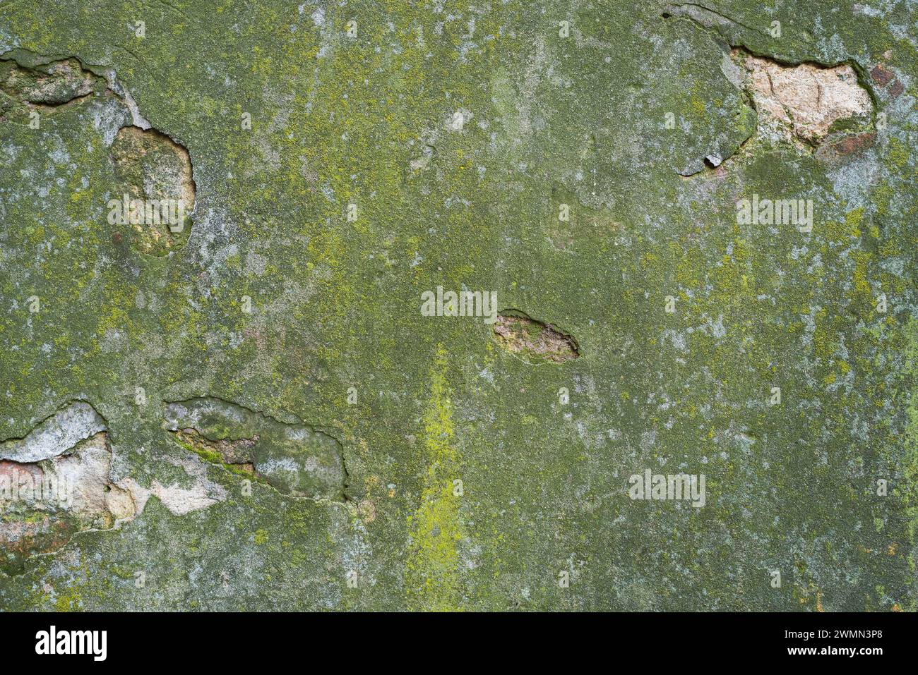 Texture of the wall with old plaster of green color Stock Photo - Alamy