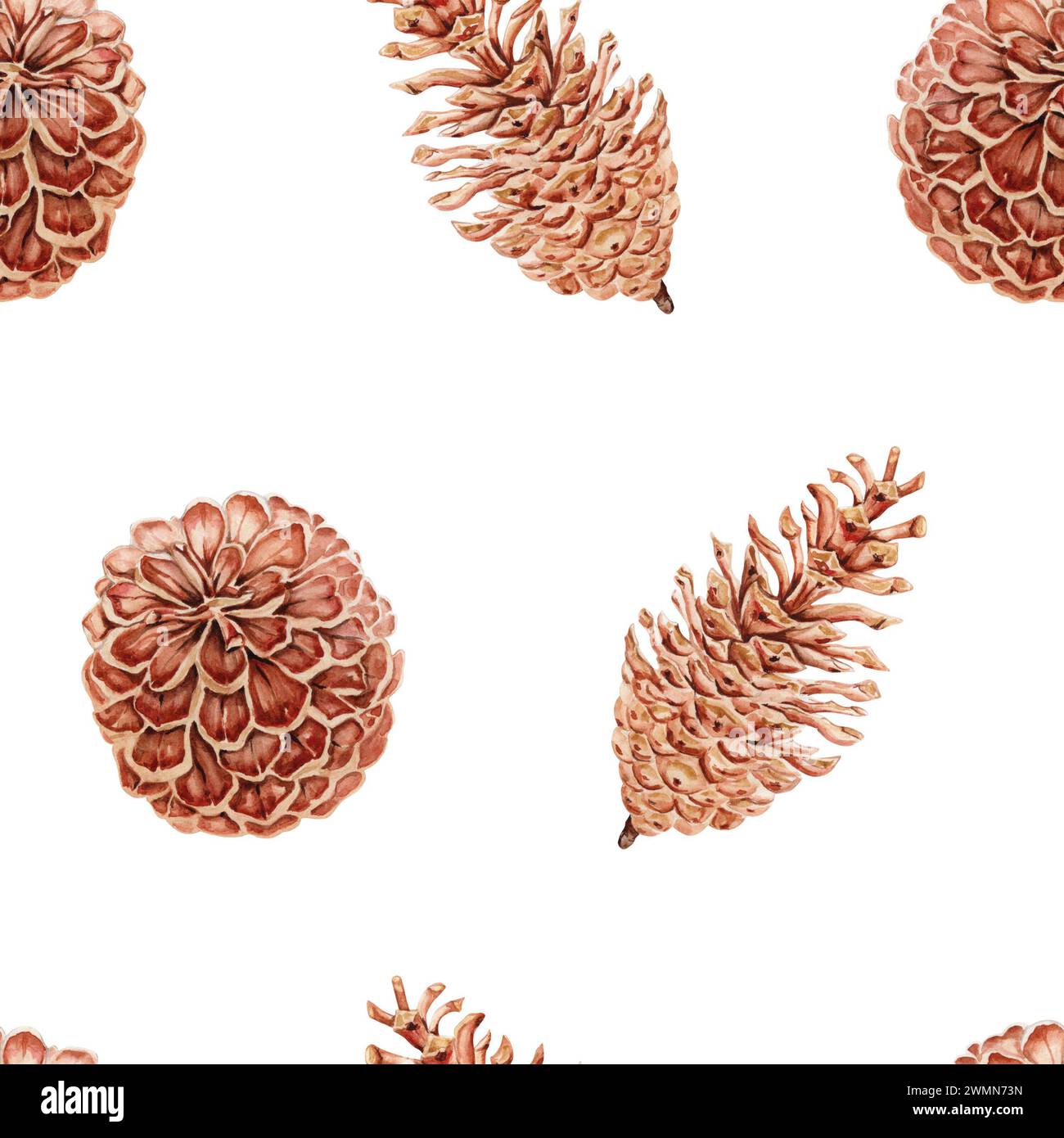 Seamless pattern with realistic hand drawn pine cones. Watercolor ...
