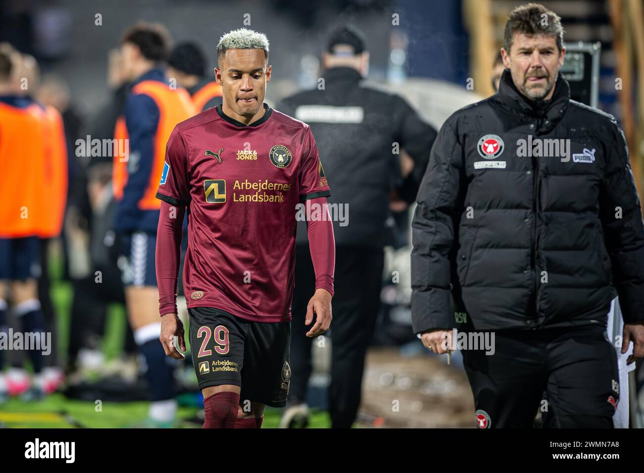 Aarhus, Denmark. 25th, February 2024. Paulinho (29) of FC Midtjylland leaves the pitch after a second yellow card and thereby red during the 3F Superliga match between Aarhus GF and FC Midtjylland at Ceres Park in Aarhus. (Photo credit: Gonzales Photo - Morten Kjaer). Stock Photo