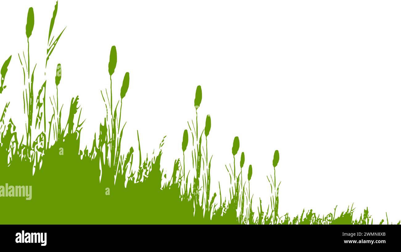Bull Rushes Drawings Black and white bull rushes Stock Vector Images - Alamy