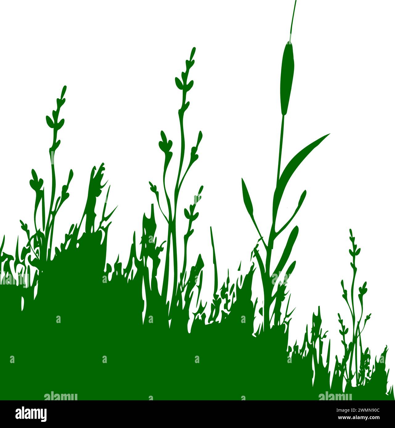 Bull Rushes Graphic Black and white bull rushes Stock Vector Images - Alamy
