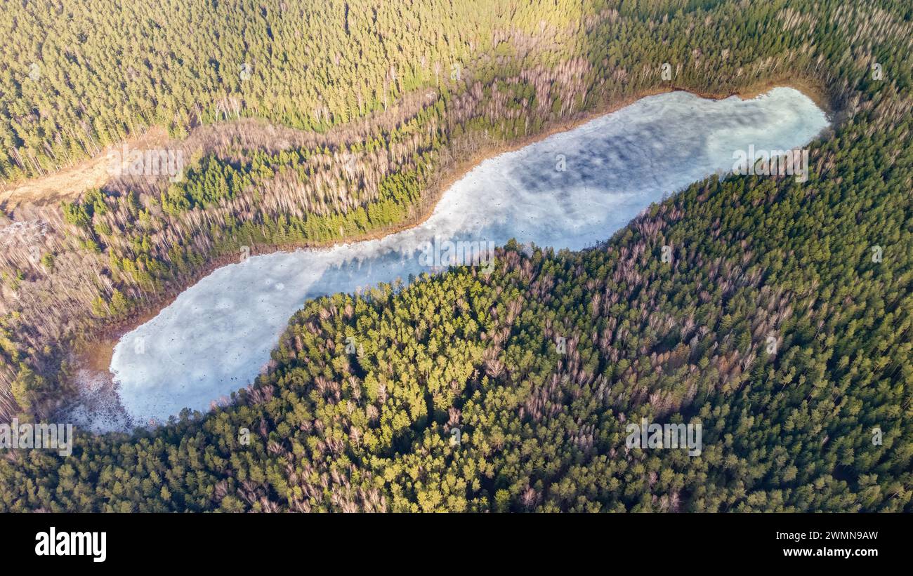 Aerial view of the lake in Lithuanian forests, winter, wild nature. Name of the lake 'Lydekinis', Varena district, Europe. Stock Photo