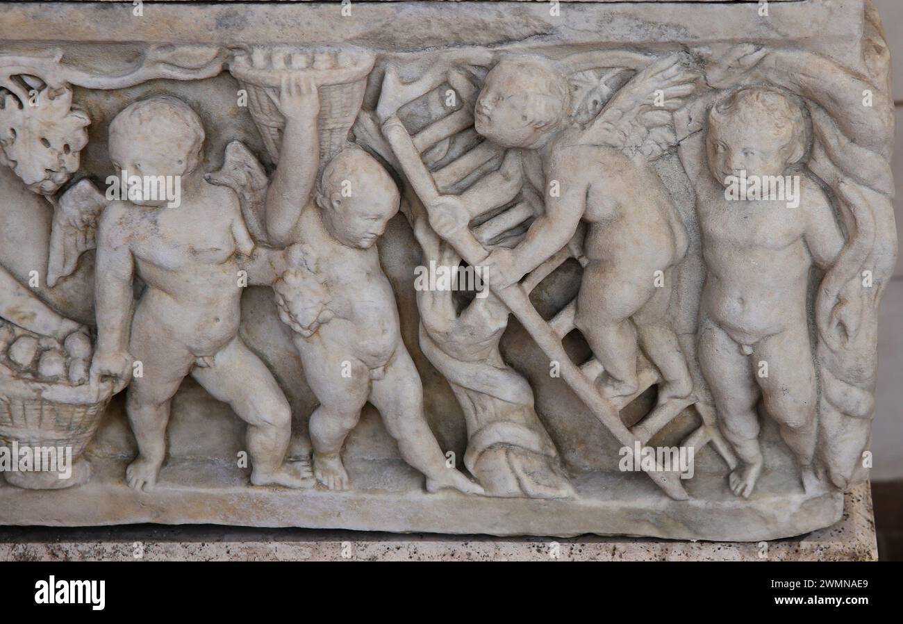 Sarcophagus decorated with grape harvesting Cupids. Marble. 160 AD. Rome. National Roman Museum. Baths of Diocletian. Rome. Italy. Stock Photo