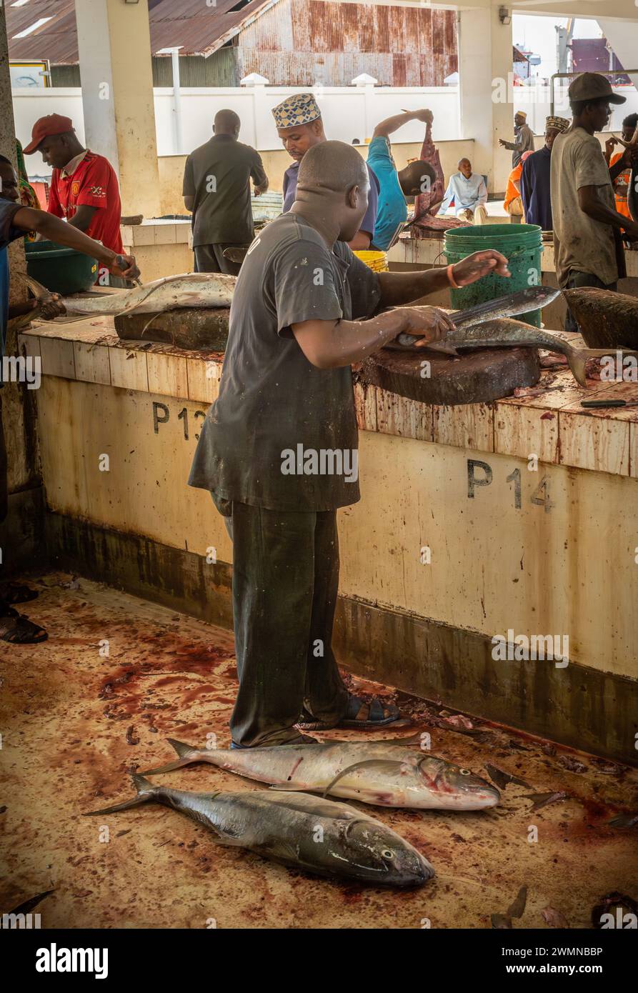 A traders prepares fish at his stall in Darajani Market, or the fish market, in Stone Town, Zanzibar, Tanzania. Stock Photo