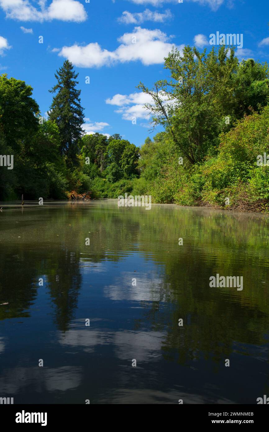 Luckiamute River, Luckiamute Landing State Park, Oregon Stock Photo Alamy