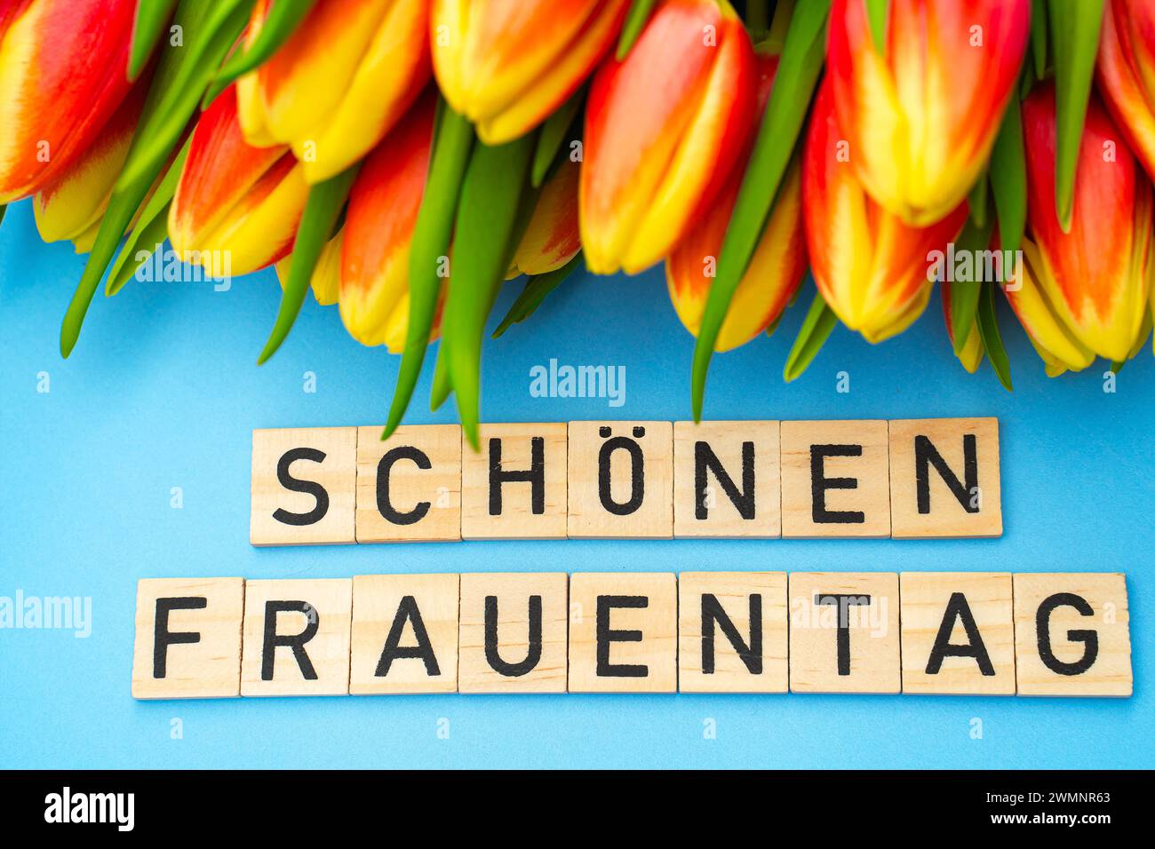  February 26, 2024: Happy Women s Day, lettering with wooden cubes on a Bildidee 