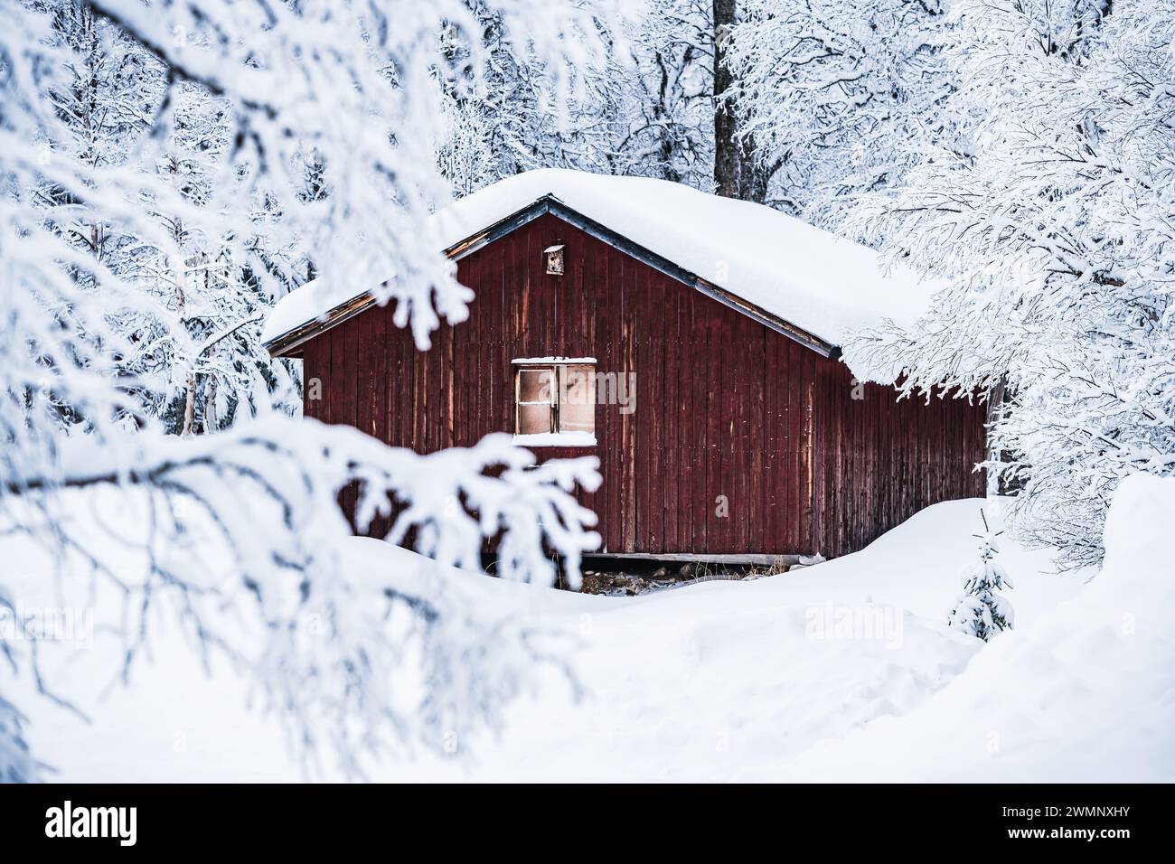 A deserted cabin surrounded by thick snow in the wintry forests of ...