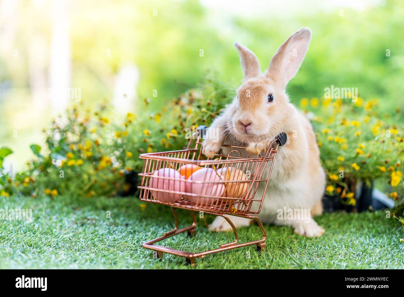 A rabbit with a basket of eggs in the grass. Stock Photo