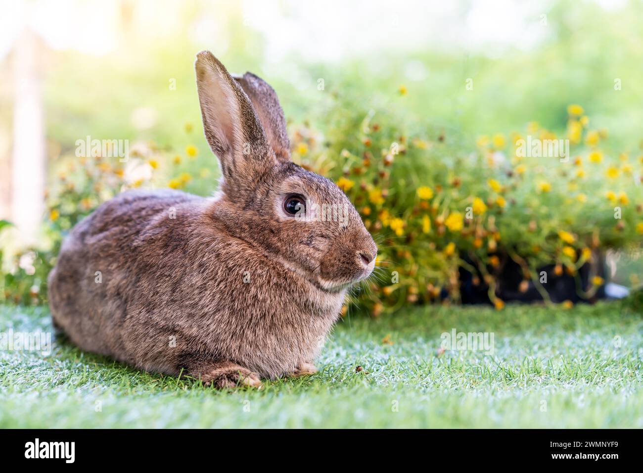A tiny bunny sits amidst blooming flora and greenery. Stock Photo