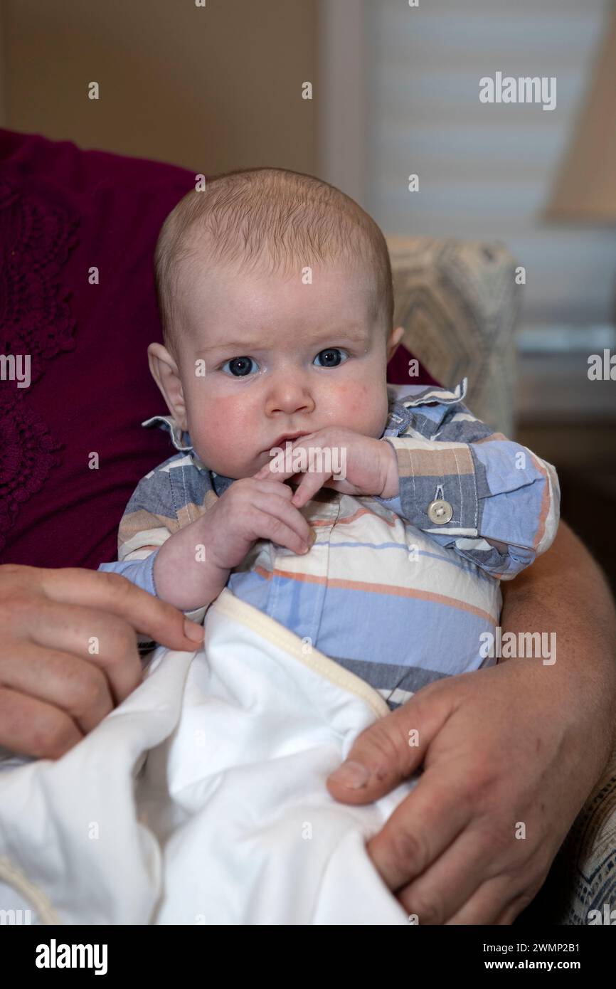 Two and a half month old baby boy being held by adult hands. Stock Photo