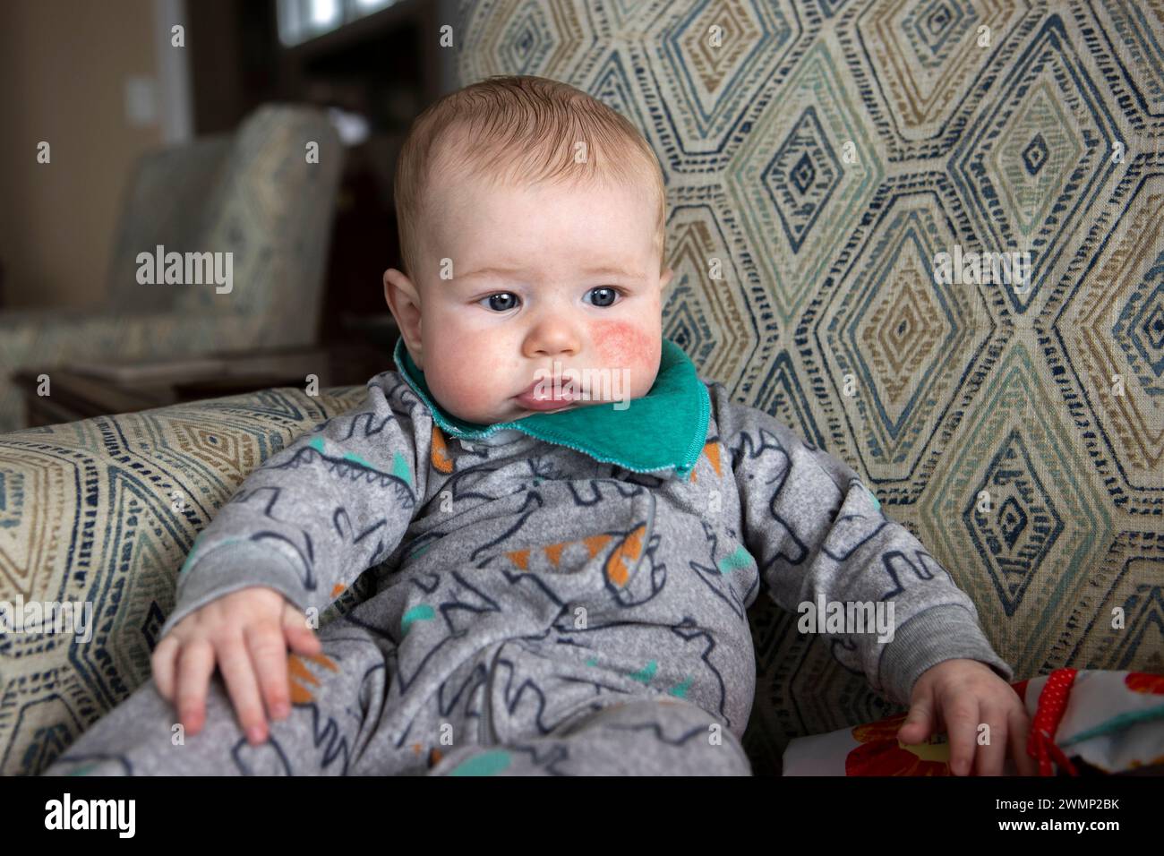 Four month old baby boy propped up in a chair. Stock Photo