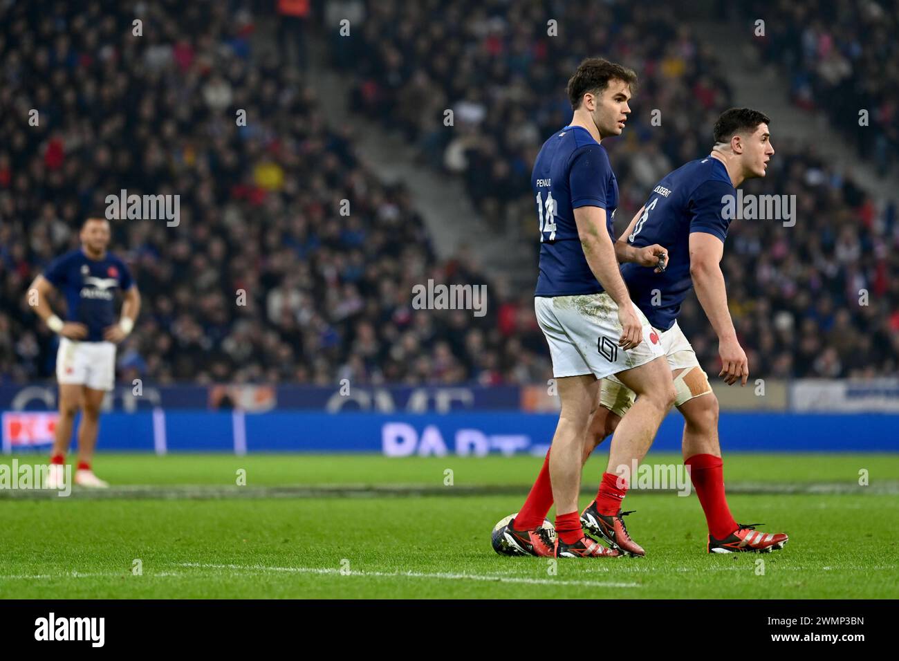 Julien Mattia / Le Pictorium - 6 Nations Tournament 2024, France's ...