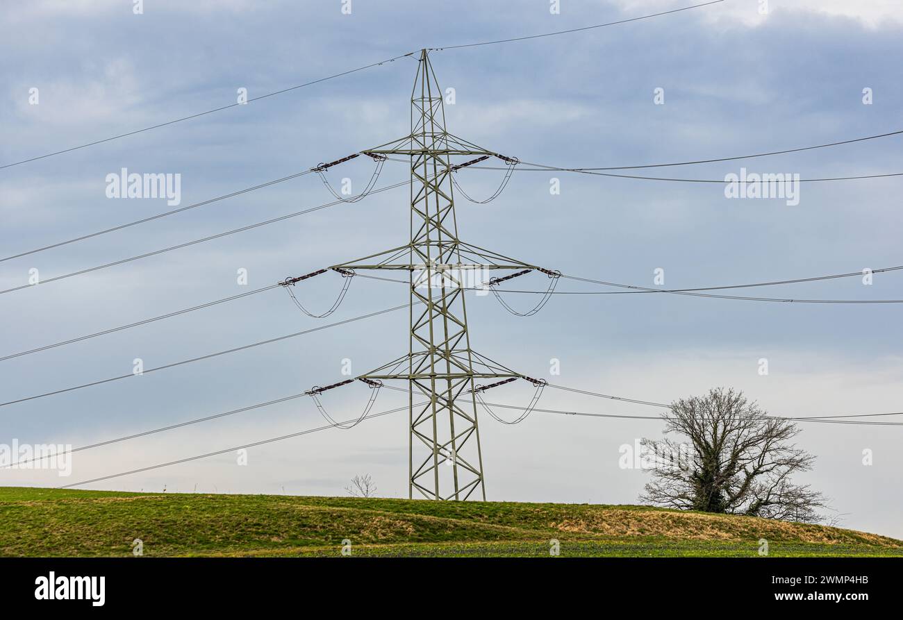 Ein Strommasten in ländlichem Gebiet. (Nürensdorf, Schweiz, 10.02.2024) Stock Photo