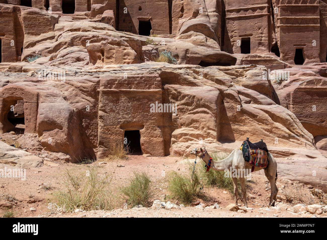 Nabataeans tombs hi-res stock photography and images - Alamy