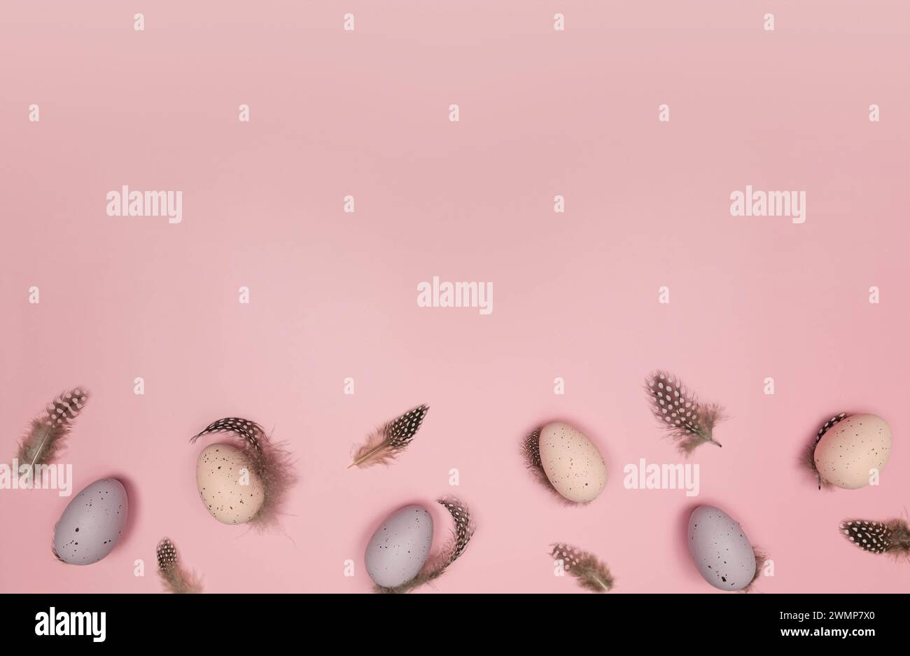 Top view of easter eggs, feathers on pink background. Creative easter composition, spring, flat lay, copy space. Stock Photo