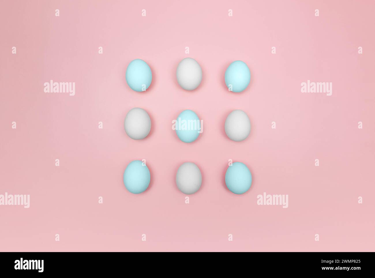 Top view of white and blue eggs on pink background. Creative easter composition, flat lay, copy space. Spring, modern and minimalist. Stock Photo