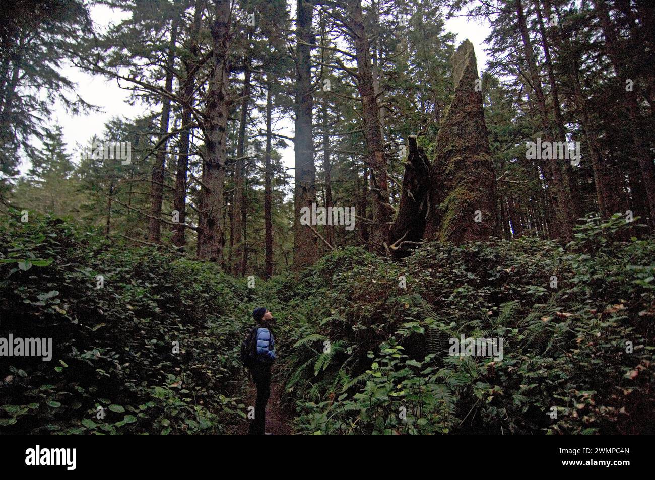 Sunny Coulson Indian women Northwest Washington coastline at lake
