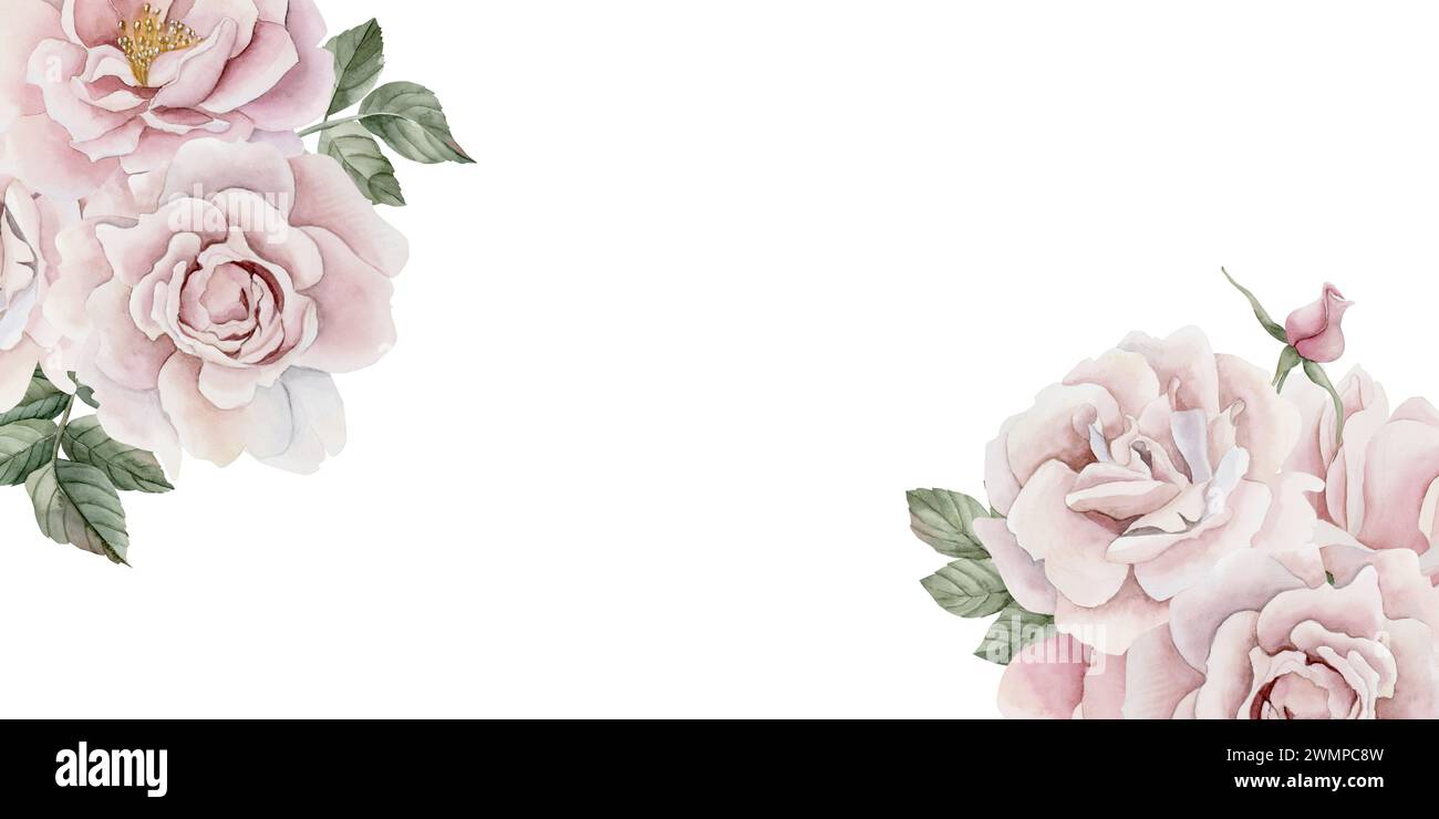 Horizontal frame of pink rose hip flowers, buds and leaves, Victorian ...