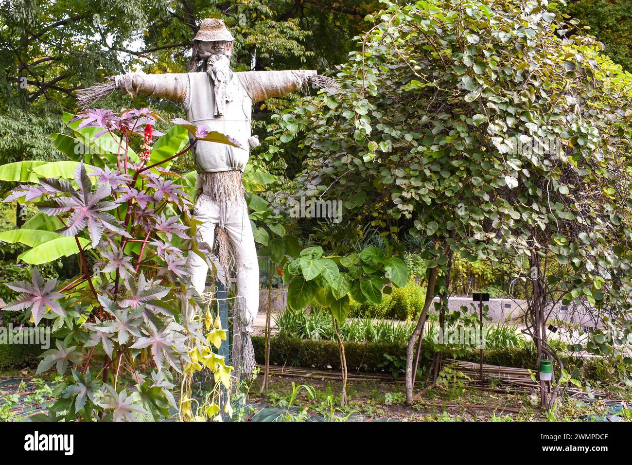 Scarecrow, Royal Botanic Garden in Madrid, Spain. 26 Oct. 2023 Stock Photo