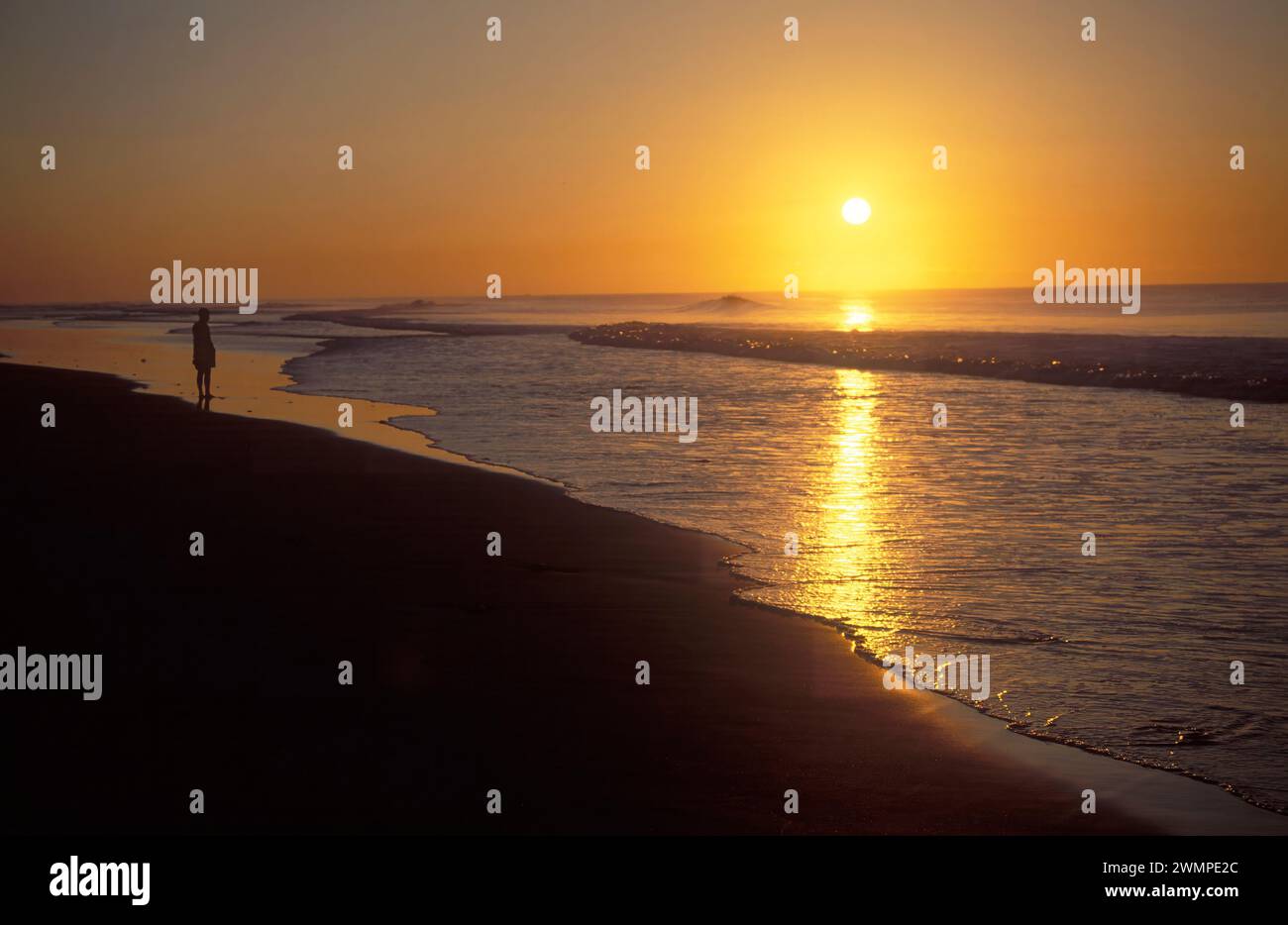 Woman on beach at sunset Stock Photo