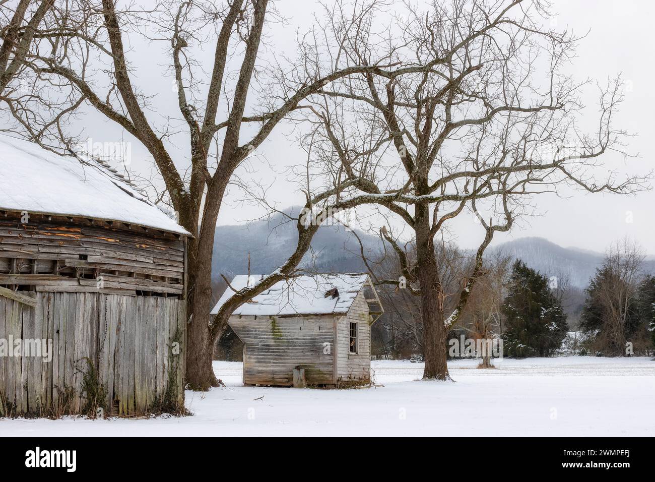 Agricultural landscapes after a winter event in rural Virginia, USA Stock Photo