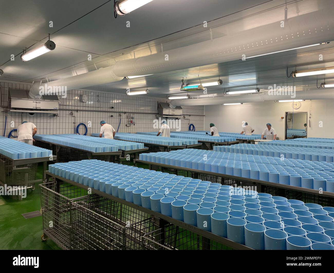 © Nolwenn Lejeune;Nolwenn Le Jeune/Radio France/Maxppp - Nolwenn Lejeune;Nolwenn Le Jeune/Radio France/Maxppp, x 09/02/2024Salle de moulage à la louche du camembert AOP de Normandie à l fromagerie Gillot dans l'Orne. Production of Normandy AOP Camembert. Report in the Gillot cheese factory in Orne *** Local Caption *** France Bleu Basse-Normandie Credit: MAXPPP/Alamy Live News Stock Photo