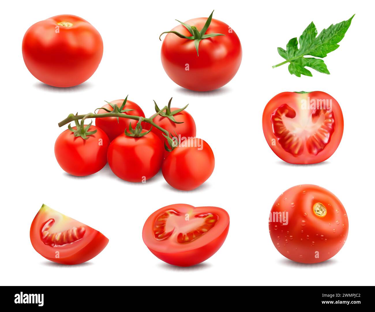 Realistic ripe raw tomato, half and slices. Isolated 3d vector vibrant and plump pomodoro cherries, showcasing a vivid red hue, reveals juicy seeds and flesh, exude freshness and natural texture Stock Vector