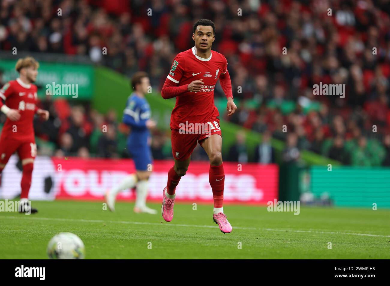London, UK. 25th Feb, 2024. Cody Gakpo of Liverpool in action. Carabao Cup final 2024, Chelsea v Liverpool at Wembley Stadium in London on Sunday 25th February 2024. Editorial use only. pic by Andrew Orchard/Andrew Orchard sports photography/Alamy Live News Credit: Andrew Orchard sports photography/Alamy Live News Stock Photo