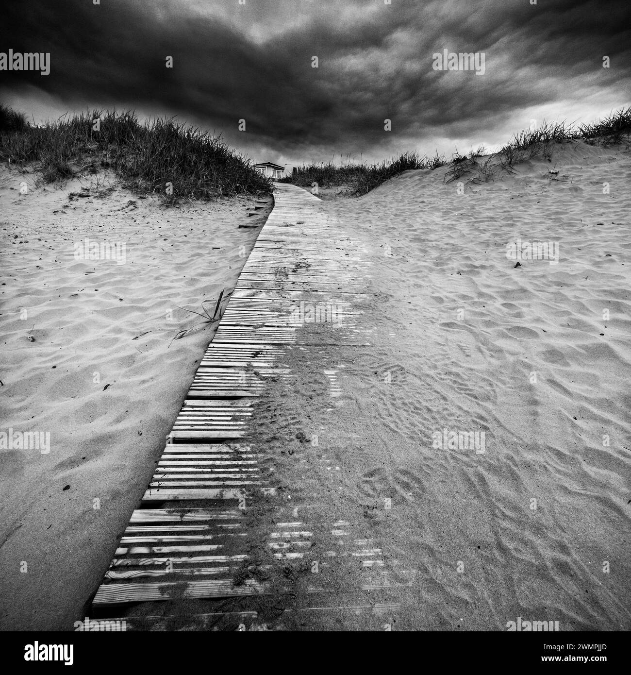 Coatham dunes Black and White Stock Photos & Images - Alamy