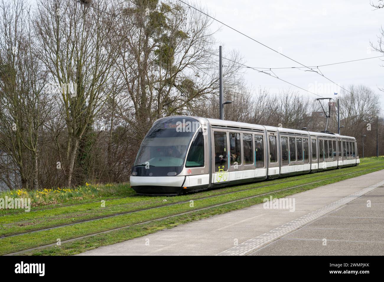 , Symbole, Frankreich, , Straßburg, , 27.02.2024,  Moderne Straßenbahn fährt auf Schienen neben Frühlingsblumen. Stock Photo