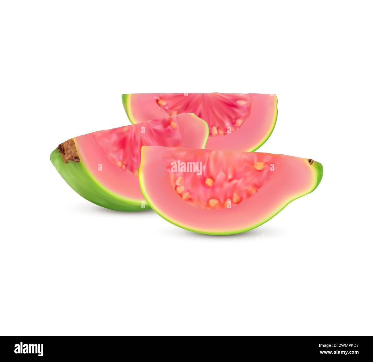 Plant Goodness Stock Vector Images Alamy plant-goodness-stock-vector-images-alamy
