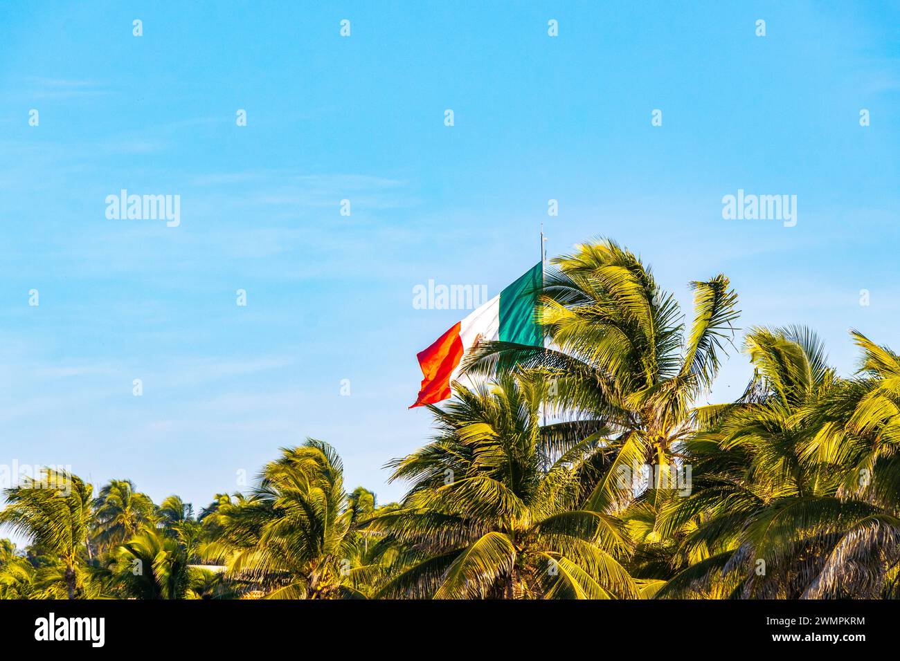 Mexican Green White Red Flag With Palm Trees And Blue Sky And Clouds In Zicatela Puerto Escondido Oaxaca Mexico. Stock Photo