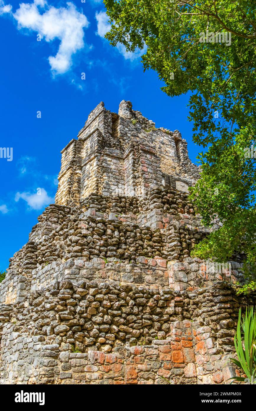 Ancient Mayan Site With Temple Ruins Pyramids And Artifacts In The Tropical Natural Jungle Forest Palm Trees And Walking Trails In Muyil Chunyaxche Qu Stock Photo