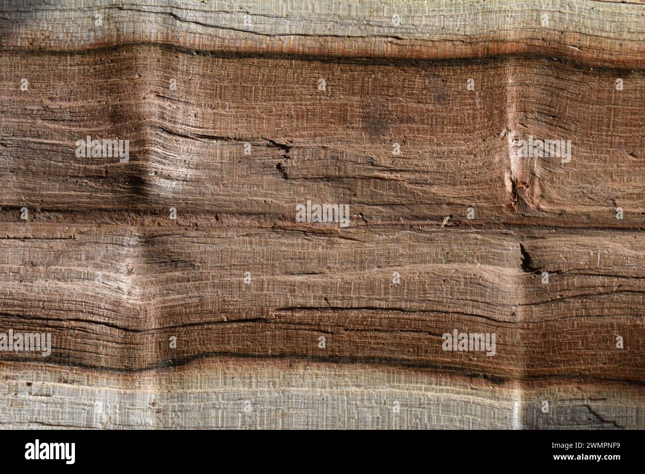 Natural grain wood background, a split log Stock Photo - Alamy