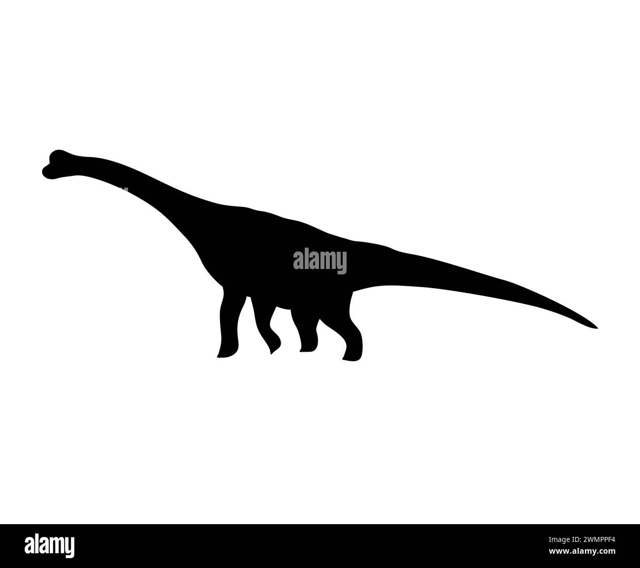 Vector hand drawn flat diplodocus dinosaur silhouette isolated on white ...