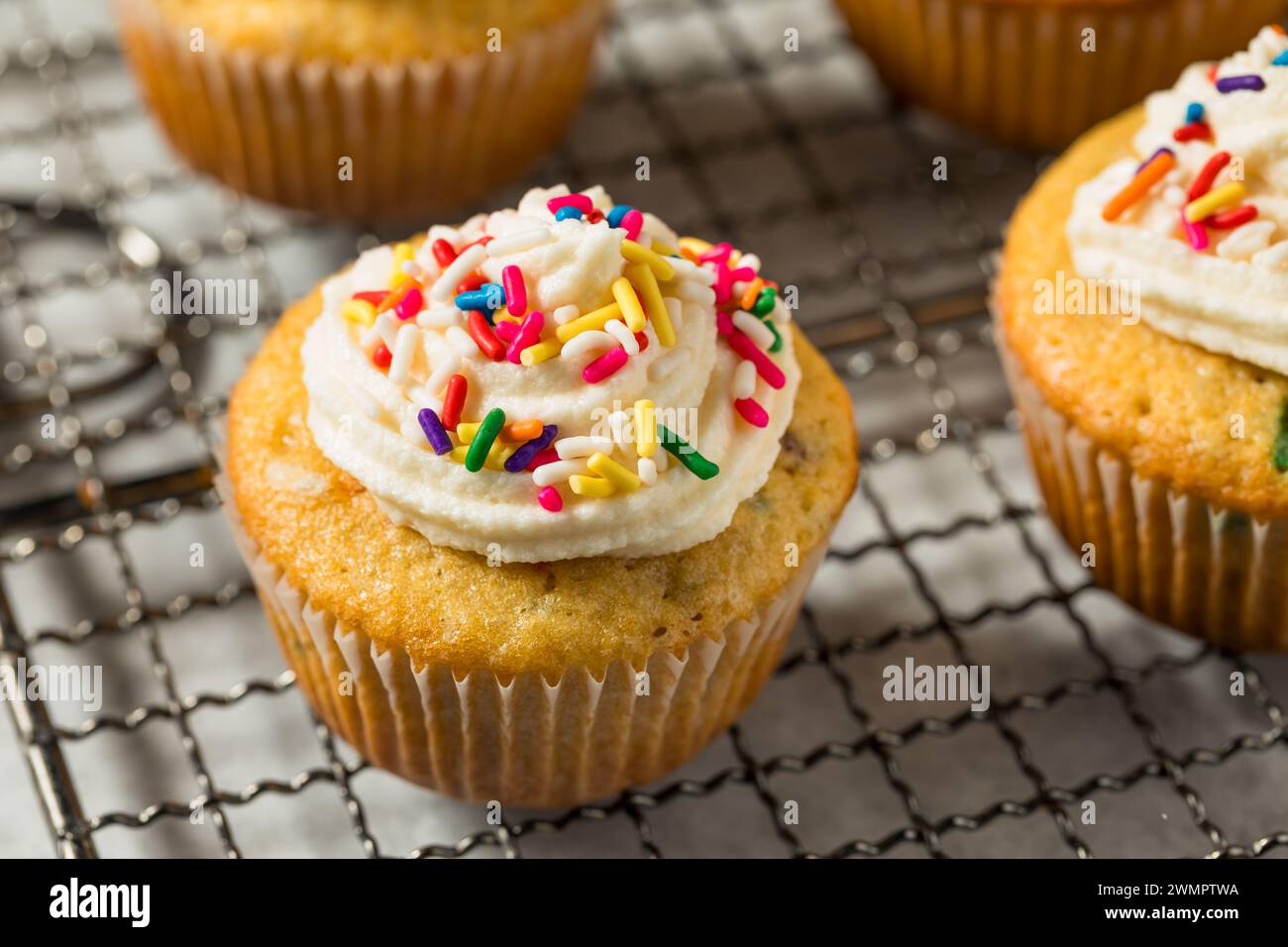 Sweet Homemade Funfetti Cupcakes with Frosting and Sprinkles Stock Photo