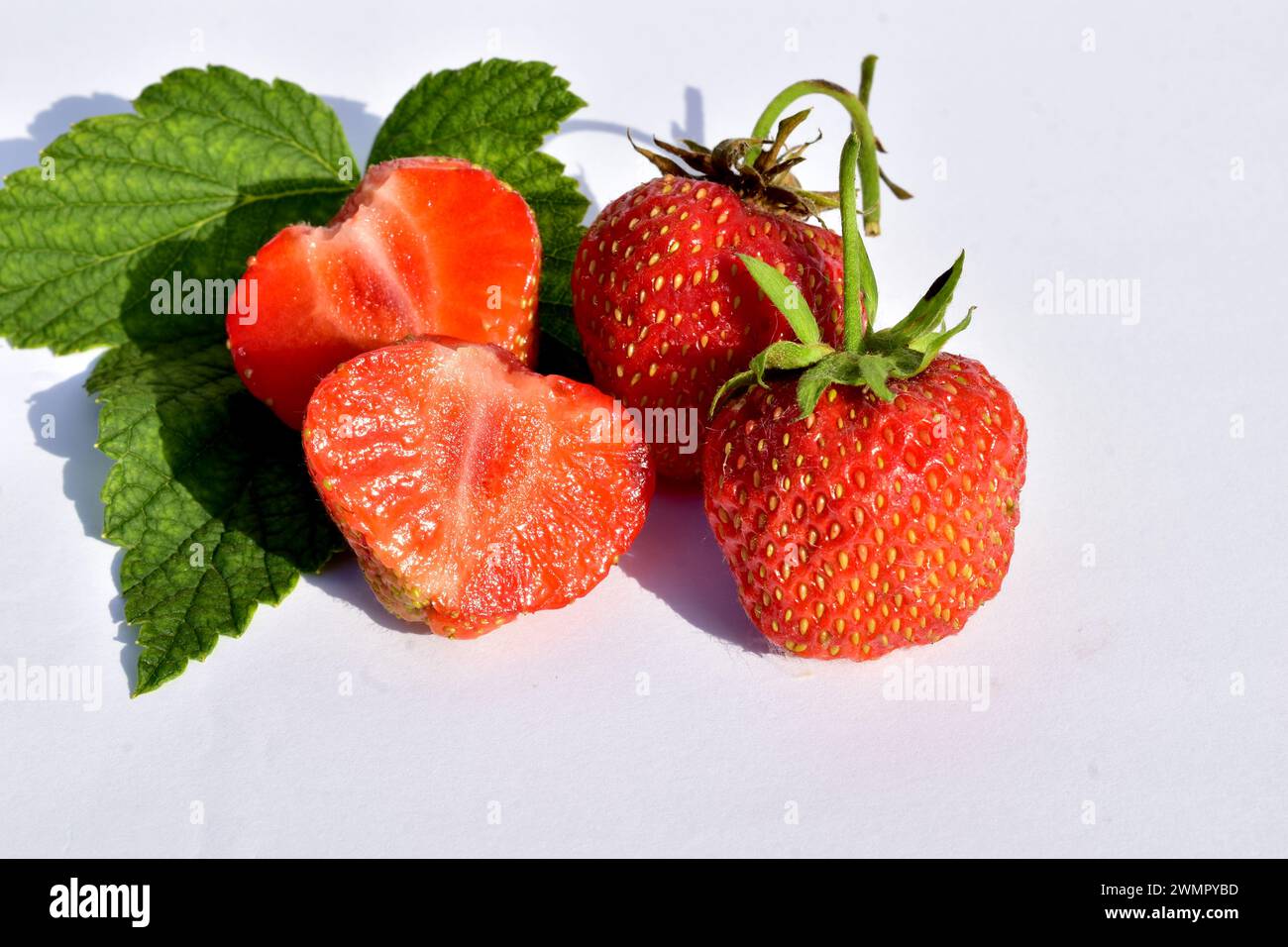 On a white table are several ripe juicy strawberries, one of which has been cut. Stock Photo
