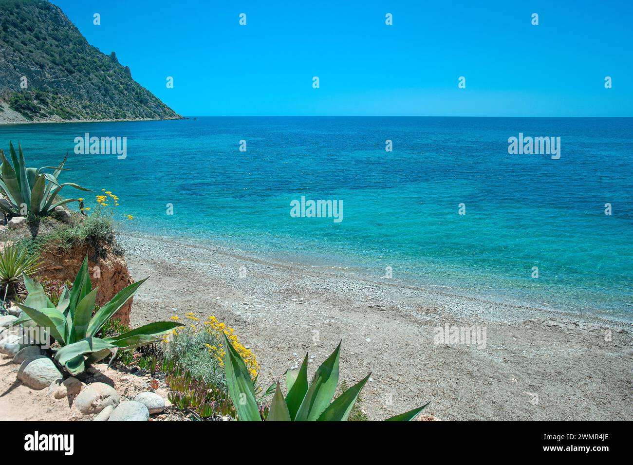 Sol d'en Serra Beach, Cala Llonga, ibiza, Balearics, Spain Stock Photo