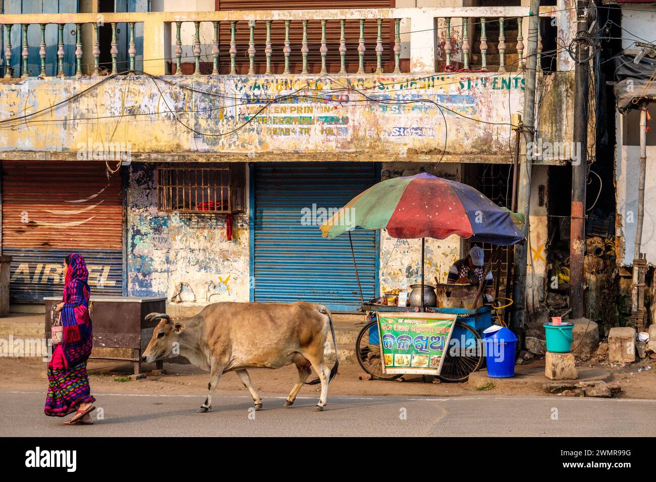street-vendors-selling-food-tea-and-snacks-in-india-stock-photo-alamy