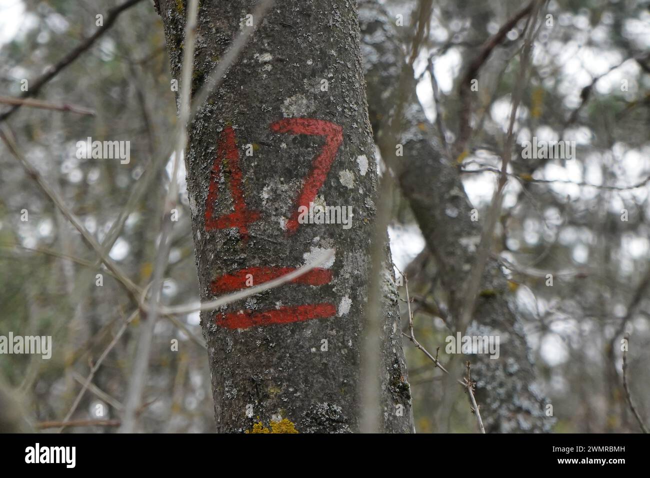 47 hiking sign hi-res stock photography and images - Alamy